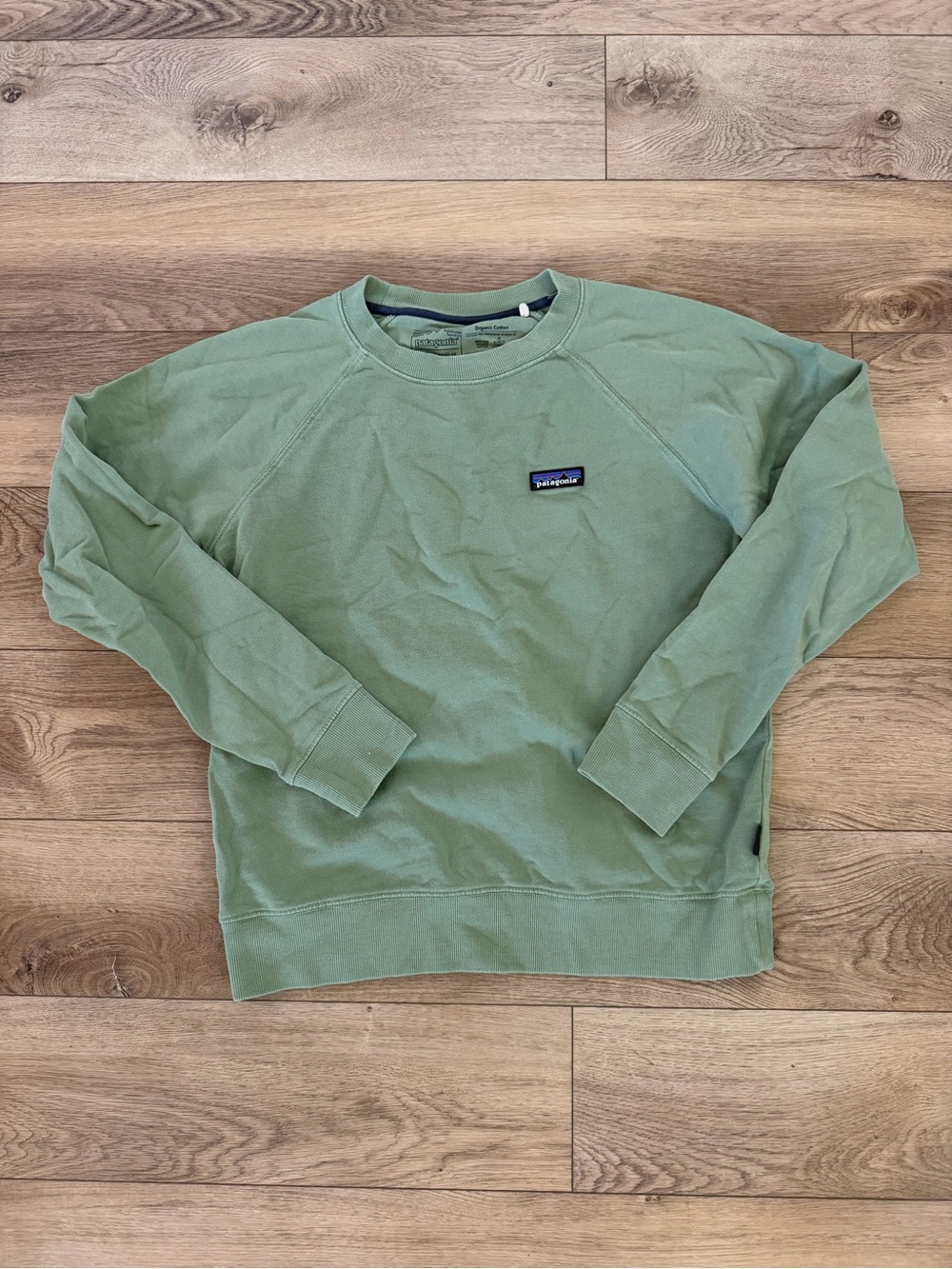 Patagonia Women's Crewneck Sweatshirt - Sage Green